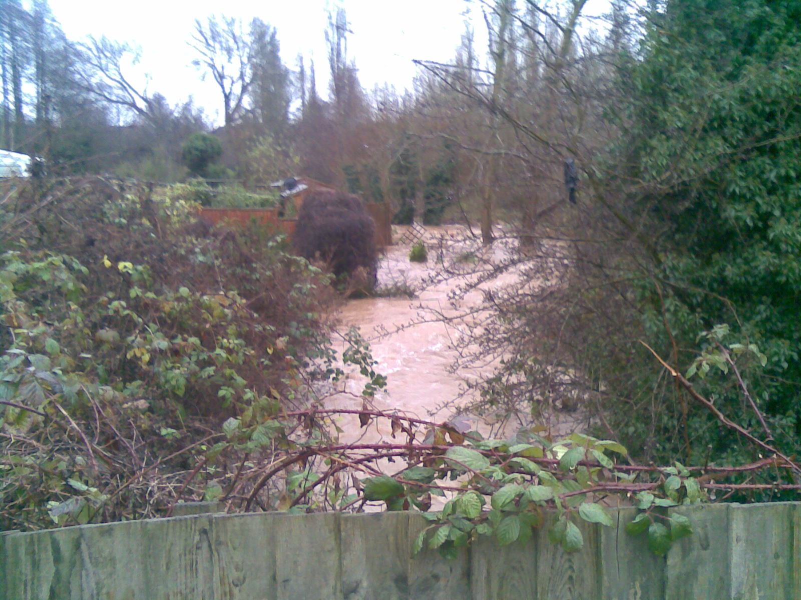 old stream in flood